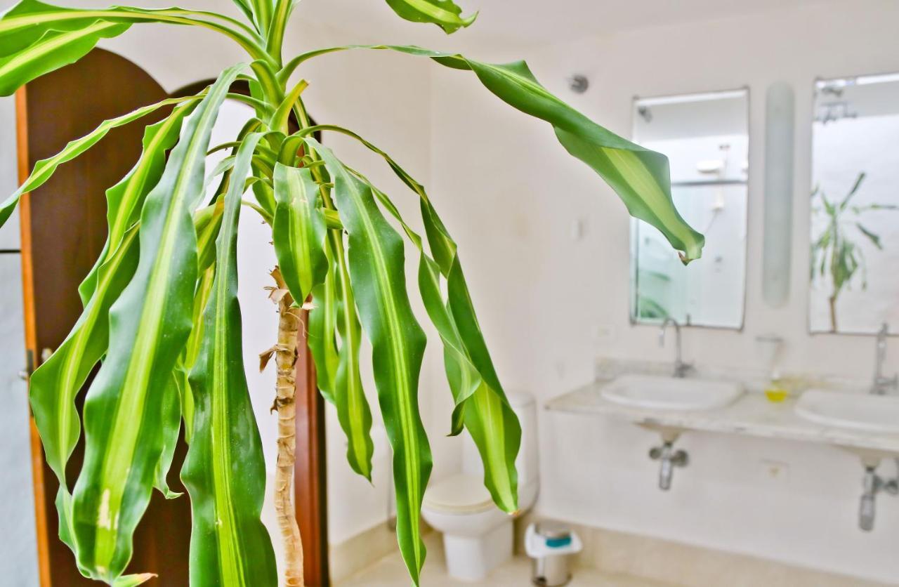 Casa Mani Bed and Breakfast Ubatuba Buitenkant foto